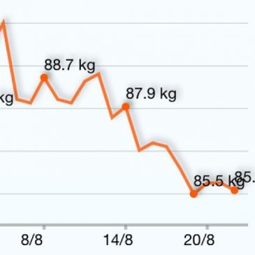 HGG – Havregrynsgröts dieten Del2 – (Dag 1 av 14)